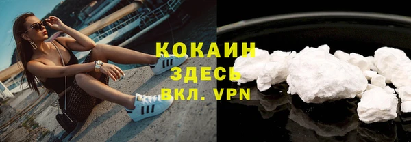 бошки Алексин
