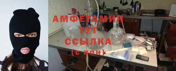 бошки Алексин