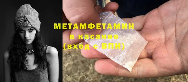 гидра Абаза