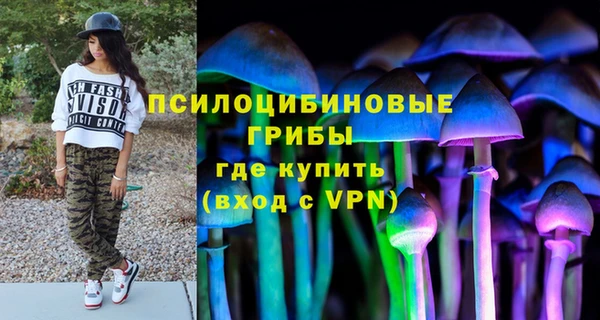 бошки Алексин