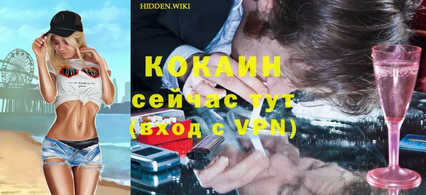 бошки Алексин
