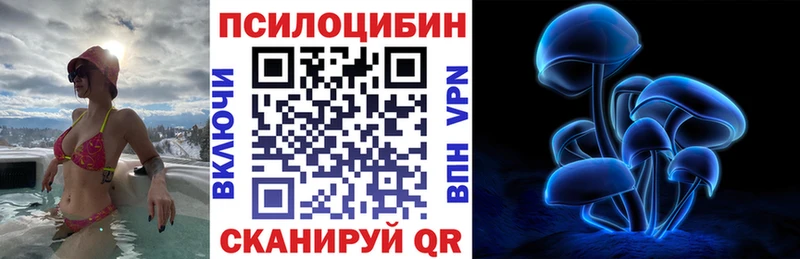 Галлюциногенные грибы Psilocybine cubensis  ОМГ ОМГ ссылка  Топки 